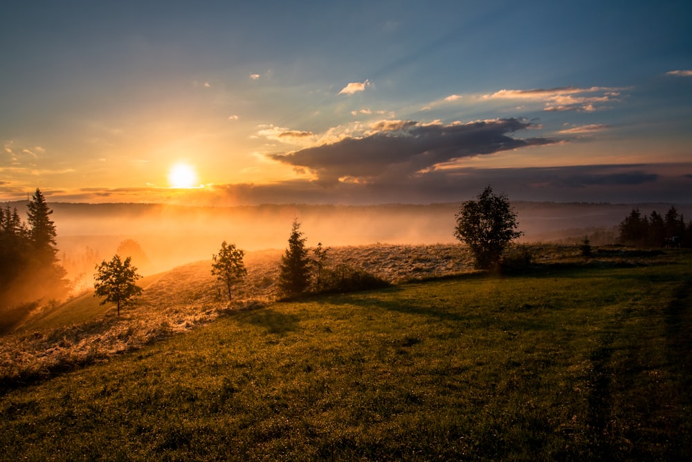 Amanecer sobre un campo con niebla